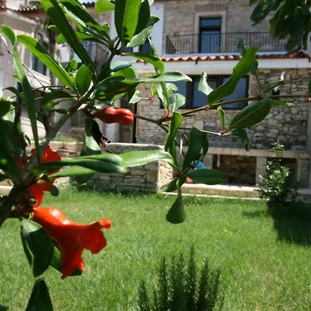 Sena Apartamento *